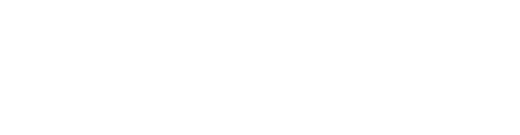 Saunometer logo